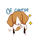 子犬のビーグル（個別スタンプ：33）
