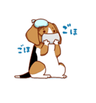 子犬のビーグル（個別スタンプ：34）