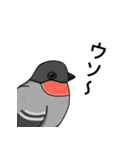 名前で話す動物たち！（個別スタンプ：6）