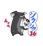 おちゃめなシュナウザー犬 ver.昭和の死語（個別スタンプ：17）
