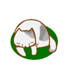 ねこ・みっくす（個別スタンプ：34）
