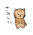 猫スタ（個別スタンプ：12）