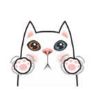CHER CAT（個別スタンプ：13）