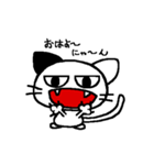 ねこねこたん（個別スタンプ：25）