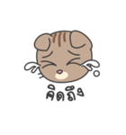 Fugui The Cat（個別スタンプ：14）