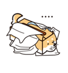 ティッシュ柴犬（個別スタンプ：12）