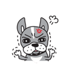 ～ペチャ犬バロン～ボストンテリア×パグ（個別スタンプ：9）