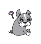 ～ペチャ犬バロン～ボストンテリア×パグ（個別スタンプ：10）
