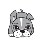 ～ペチャ犬バロン～ボストンテリア×パグ（個別スタンプ：39）