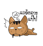 Poor Catdy Vol. 1（個別スタンプ：14）