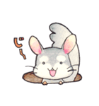 チンチランド（個別スタンプ：16）