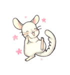 チンチランド（個別スタンプ：18）