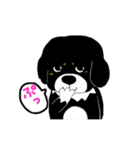 くろちゃん的な日々（個別スタンプ：4）