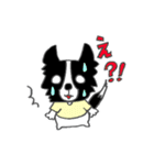 ボボボボボーダーコリー コリさん（個別スタンプ：9）