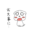 ぺたんこわんこ（個別スタンプ：26）