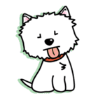 しろいぬルッチー Vol.2 英語版（個別スタンプ：35）