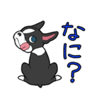 ボストン・ボス（個別スタンプ：20）