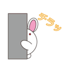 丸顔くん うさぎ 日本語バージョン（個別スタンプ：24）