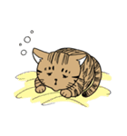 おれはキャツ（個別スタンプ：21）