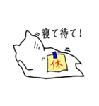 ポジティブなネコ ポジニャン（個別スタンプ：5）