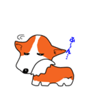 お絵描きコーギーのコギ男（個別スタンプ：25）