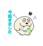 セイウチ君（個別スタンプ：6）