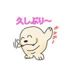 セイウチ君（個別スタンプ：11）