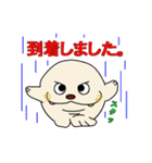 セイウチ君（個別スタンプ：24）