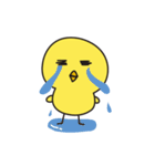ぴよ吉（個別スタンプ：10）