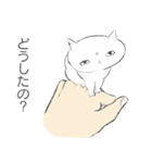 手のひらの猫神様（個別スタンプ：22）