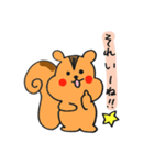 りすのプックのスタンプ（個別スタンプ：25）