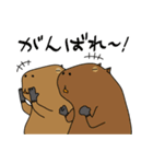 カピバラ日和（個別スタンプ：13）