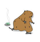 カピバラ日和（個別スタンプ：19）