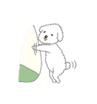 イエナシ君（個別スタンプ：20）