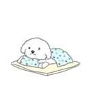 イエナシ君（個別スタンプ：23）