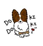 みんなが愛する犬 パピヨン（個別スタンプ：8）