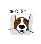 みんなが愛する犬 パピヨン（個別スタンプ：39）
