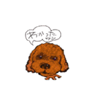 Ponsuke and Pleasant friends 2（個別スタンプ：13）