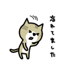 だめねこ（個別スタンプ：22）