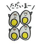 ぴよったま（個別スタンプ：27）