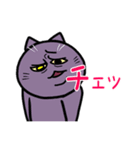 不機嫌猫とハゲあたま（個別スタンプ：1）