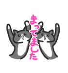 双子ねこがいっぱい1（個別スタンプ：12）