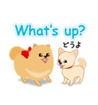 ポメ親子 リーナ＆ヒメ（個別スタンプ：32）