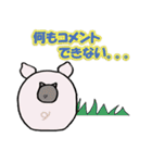 ぶた家族（個別スタンプ：20）