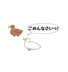 世界最小のアヒル「コールダック」（個別スタンプ：16）