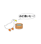世界最小のアヒル「コールダック」（個別スタンプ：25）