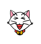 白い子猫フランネル（個別スタンプ：4）