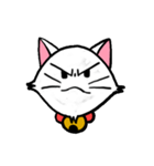 白い子猫フランネル（個別スタンプ：6）
