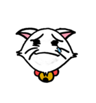 白い子猫フランネル（個別スタンプ：16）