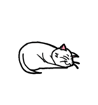 白い子猫フランネル（個別スタンプ：33）